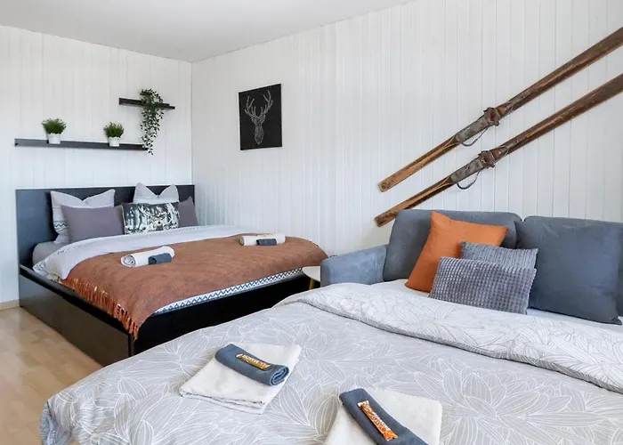 Le Tracouet - Et Cosy * Nendaz