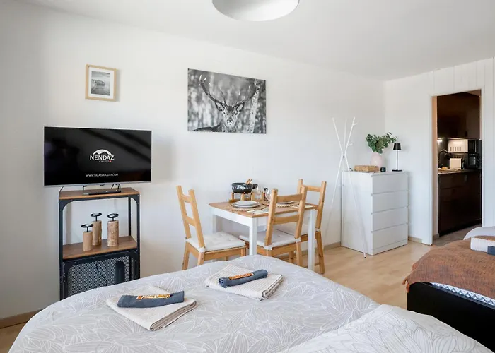 Le Tracouet - Et Cosy Appartement Nendaz